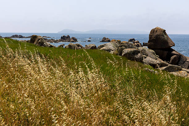 A sailboat is sailing in the ocean near some rocks. The sky is clear and the water is calm