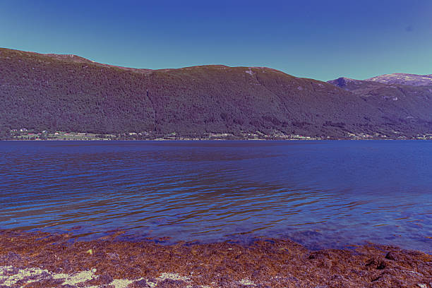 Andalsnes - Norway - June 26 - 2023
