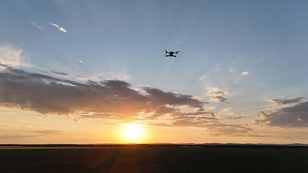 istock Drone on sunset over the poppy field 2222907803
