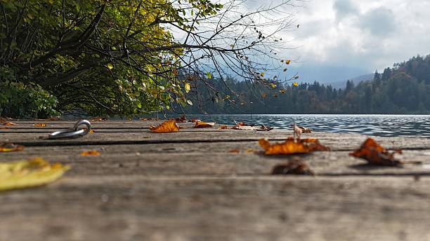 istock The magic of Lake Bled, Slovenia 2222908505