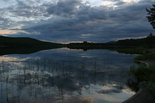Sweden lake forest nature beautiful sunset blue hour