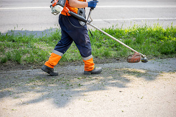 istock Worker trims grass along roadside with professional equipment during sunny day 2222918838