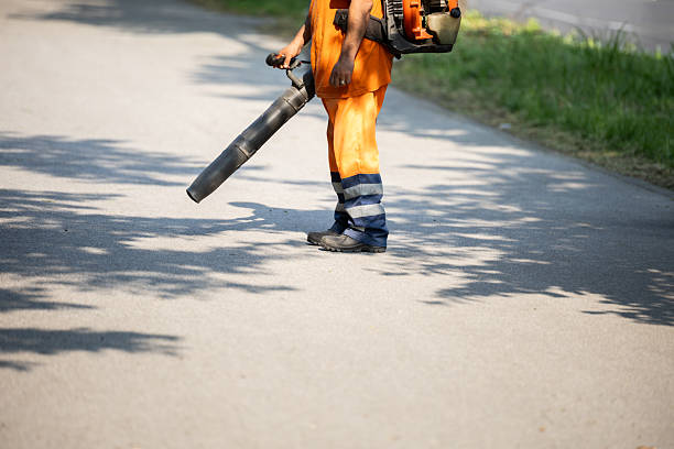istock Worker using leaf blower to clear debris from paved path in park on sunny day 2222918878