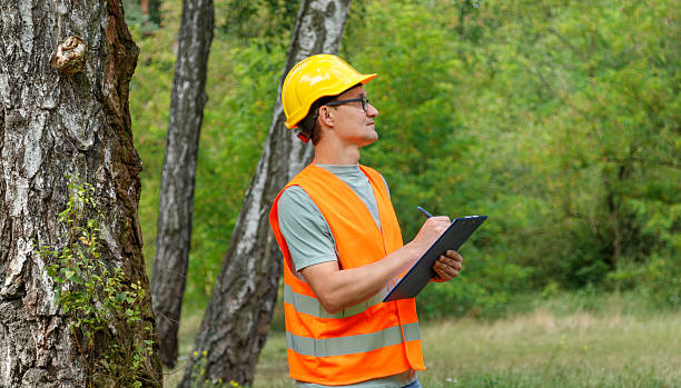 istock Forester worker. Environmental engineer man in the forest notes the environmental situation. 2222922735