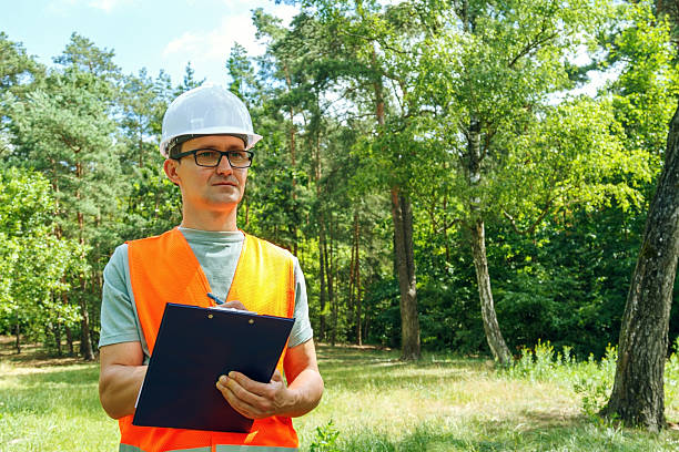 istock Ecologist technician with a tablet checks the trees. Forester worker. 2222922809