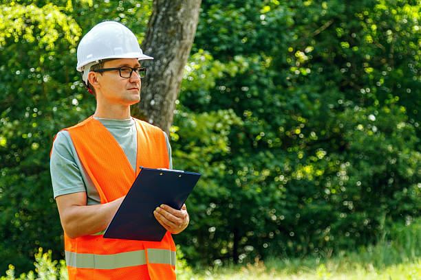 istock Ecologist technician with a tablet checks the trees. Forester worker. 2222922920