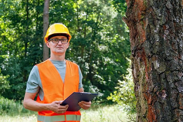 istock Portrait of forestry engineer. Ecologist in the forest. 2222923117