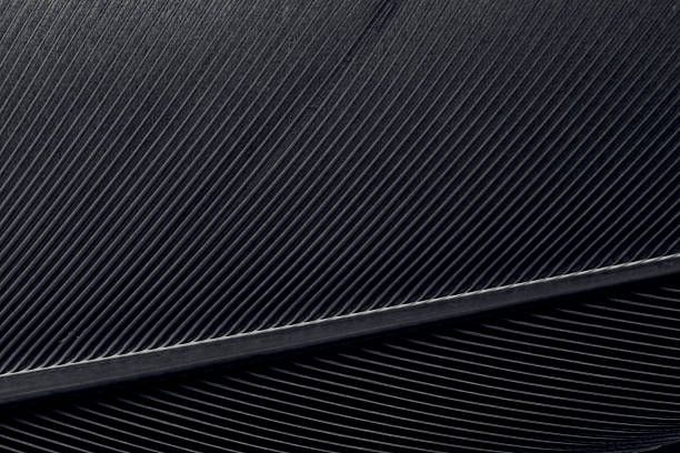istock Black macro feather,blur feather wool dark black with light abstract background 2222924300