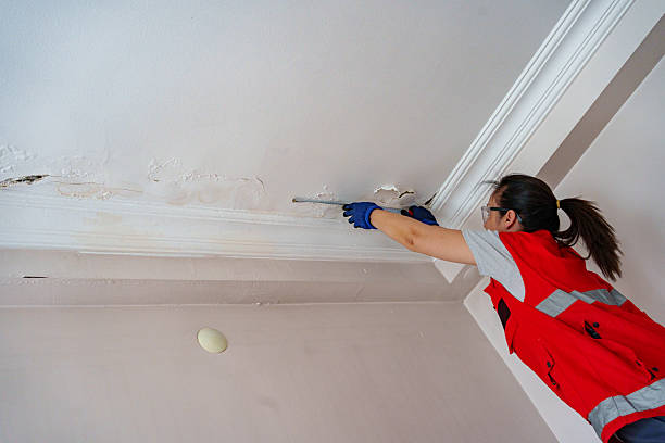 istock Worker fix leaking pipe in ceiling ,close-up of a stain on the ceiling 2222924338