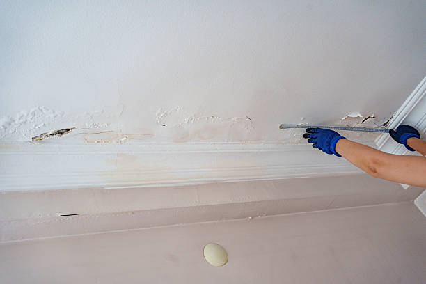 istock Worker fix leaking pipe in ceiling ,close-up of a stain on the ceiling 2222924432