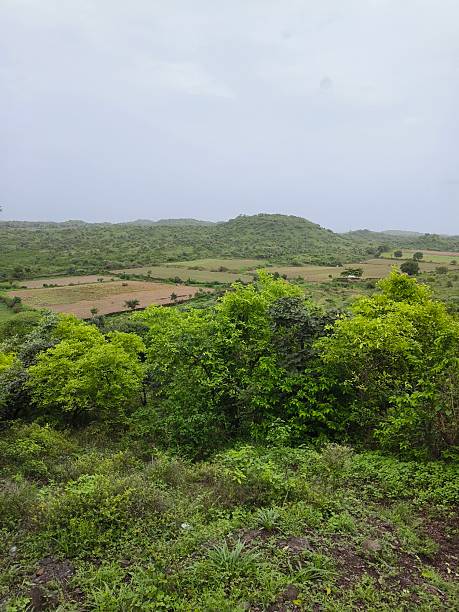 istock Landscape with hills and field 2222924996