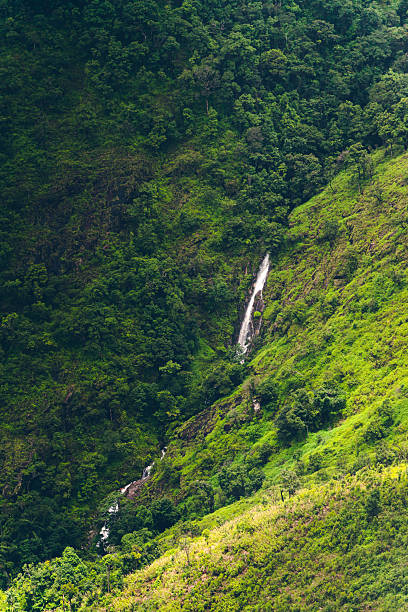 istock High-angle view of the mountain with lush green forest 2222925795