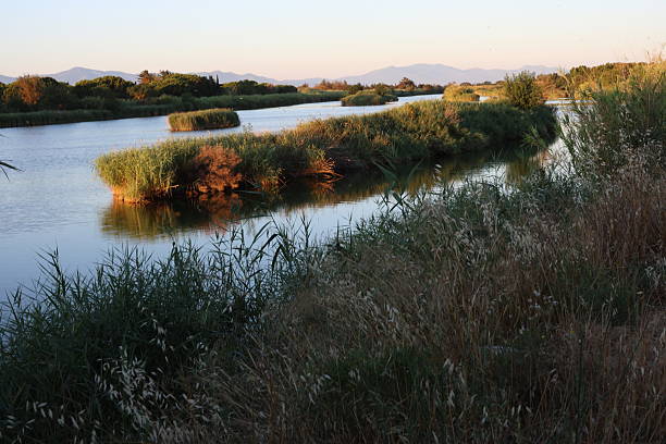By the agly river in le Barcares , Occitanie during Summer Time