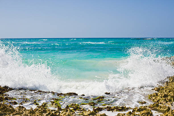 The beautiful ocean waves are gently crashing against a rocky shore while the sun shines down under a clear blue sky