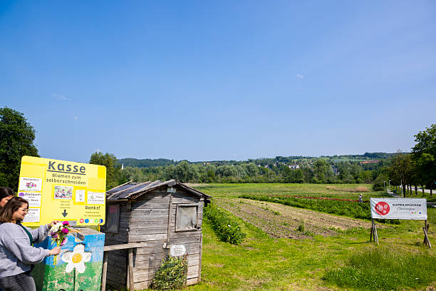 On June 9th 2025, people buy flowers in a rural self-service flower shop in Bavaria during a clear spring day