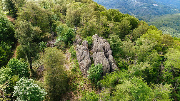 istock Ancient Volcanic Rocks in Povlen Mountain Forest 2222933720