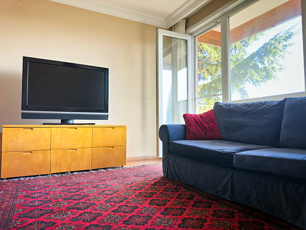Wide angle shot of a cozy room with rug and sofa