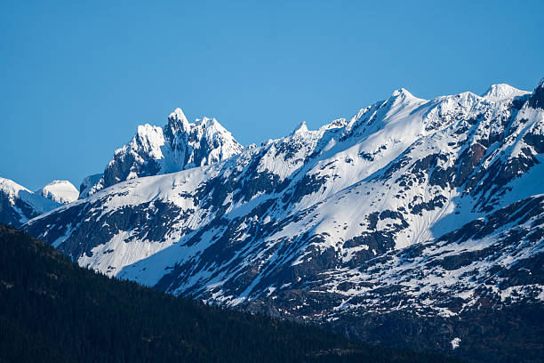 istock Beautiful Alaskan Mountain Landscape 2222937435