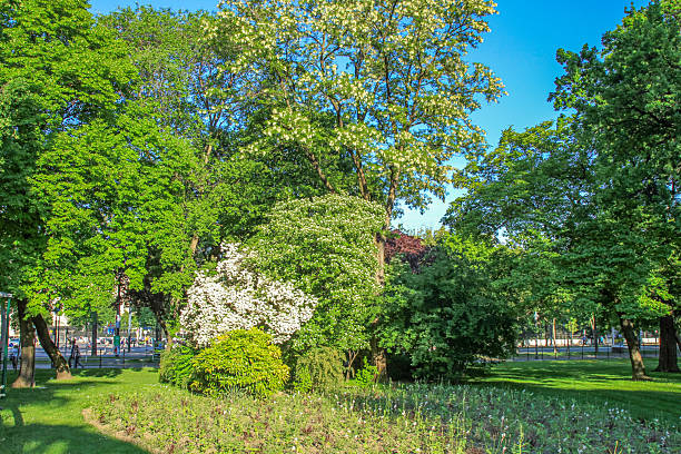 istock Spring park with flowering trees and green landscape. 2222939772