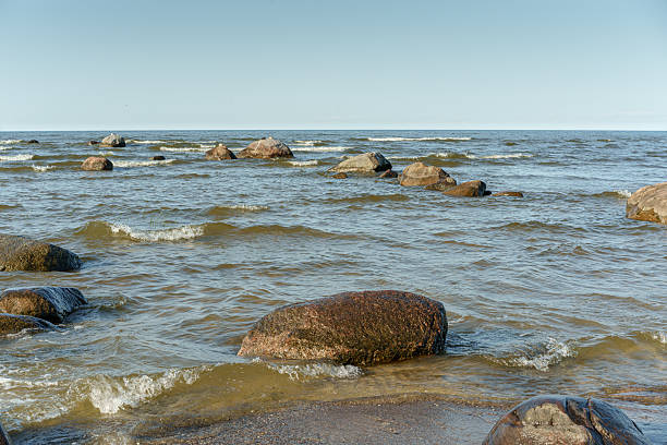 rocky stretch of coast, Baltic Sea large stones are scattered in the water and along the shore, creating a rough but natural landscape. In the foreground, bright green water grass grows between the stones, the water is wavy and reflects the gray-blue sky