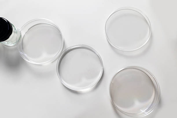 istock Chemical and biological research and study test bottles 2222940071
