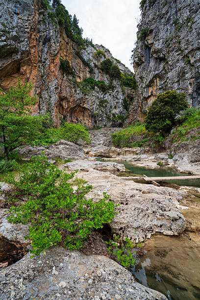 istock Saint Luke Gorge rocky stream and cliffs 2222940388