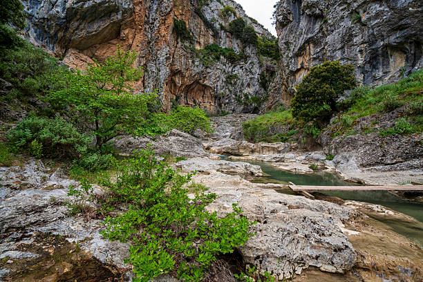istock Saint Luke Gorge rocky stream and cliffs 2222940392