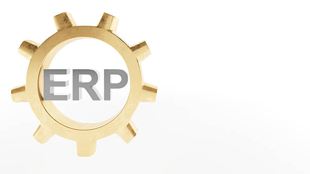 istock Enterprise resource planning, human resource management mechanism in the company. ,3d rendering 2222941123