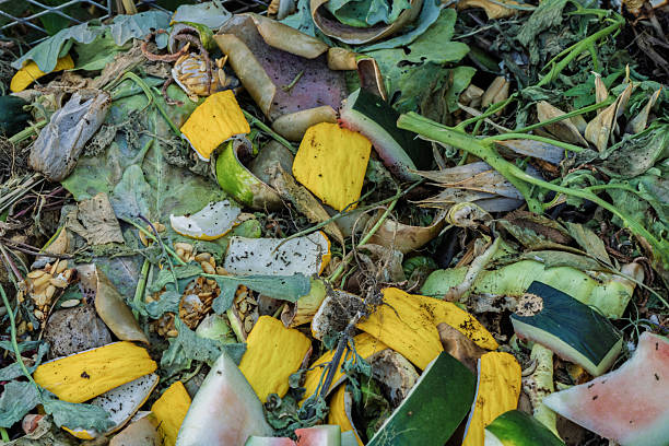 istock Establishing an Organic Waste Pile for Effective Composting and Greater Environmental Sustainability 2222946809