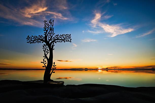 istock Tree of Salvation Cross Sunset 2222947158