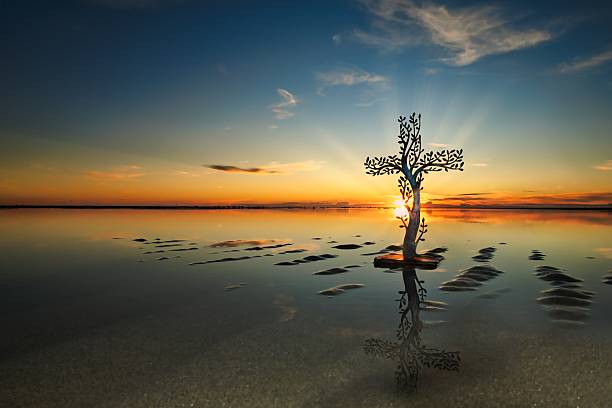 istock Tree of Salvation Sun Behind 2222947161