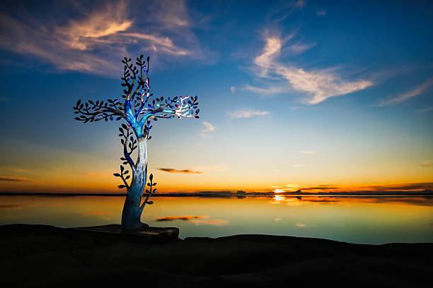 Tree of Salvaion Sundown