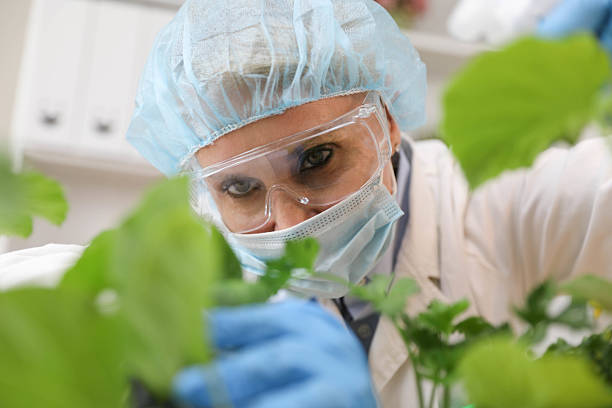 istock Female Scientist Examining Genetically Altered Plants 2222949815