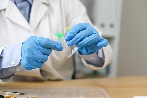 Close-Up of Lab Technician Inspecting GMO Material