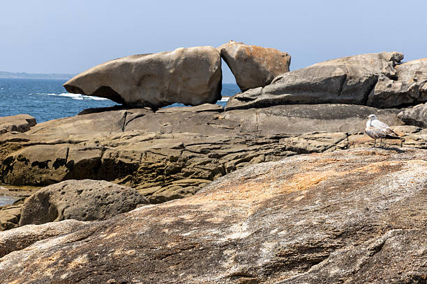 A bird is perched on a rock in front of a large rock formation. The scene is serene and peaceful, with the bird being the only living creature in the area