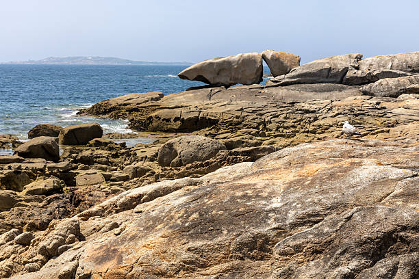 A bird is perched on a rock in front of a large rock formation. The scene is serene and peaceful, with the bird being the only living creature in the area