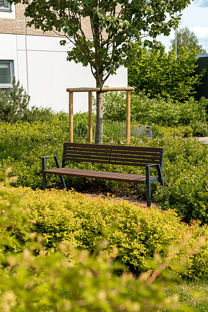 istock Wooden Bench Near Young Tree and Modern Building in Sunlight 2222958592
