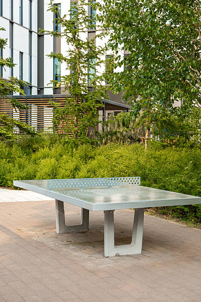 istock Modern Outdoor Table Tennis Setup with Contemporary Building 2222958614