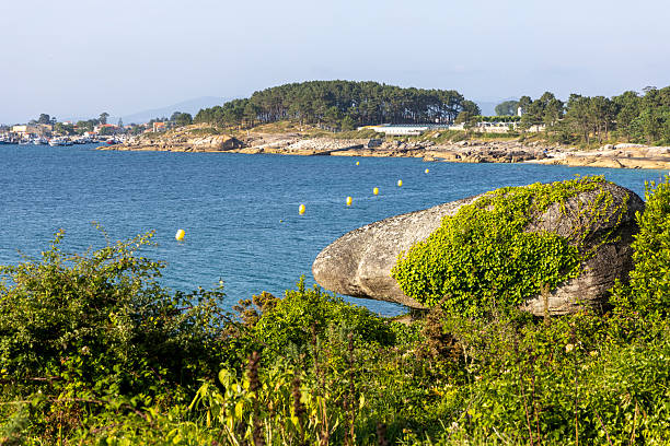 istock A rocky shoreline with a large rock and a green bush 2222958711