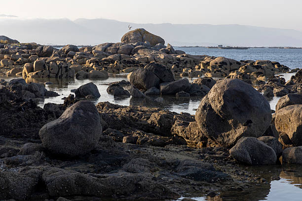 A rocky beach with a large rock in the foreground and mussels farms in background The beach is empty and the sky is cloudy