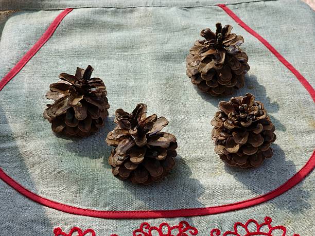 Four pine cones on decorative burlap with embroidery.