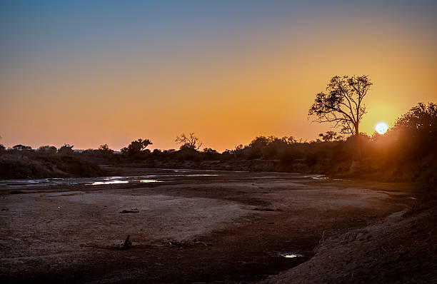 istock Limpopo River, Mapungubwe National Park, South Africa. 2222962996