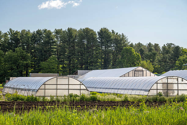 Greenhouse tents at Gary's Farm in Littleton, Massachusetts, USA