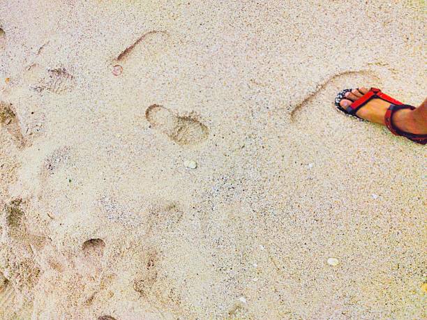 feet wearing sandals on the beach sand