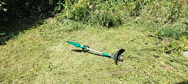 istock Summer gardening, grass cutting and hedge trimming, on a summer's day. 2222971398