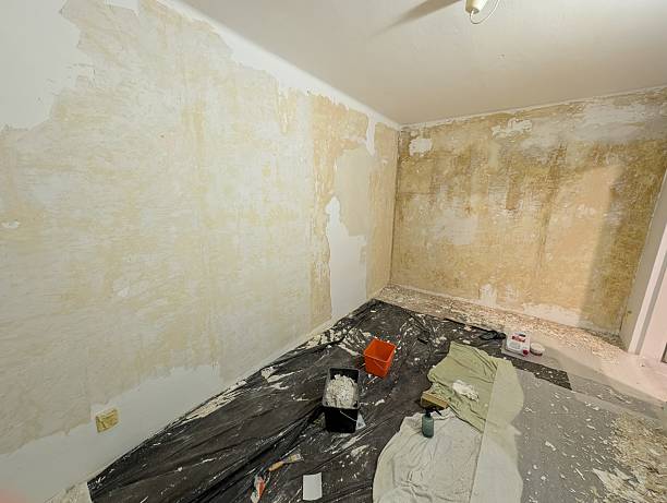 istock repair, building and home concept, room paint 2222972126