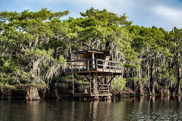 Caddo Lake, Texas, old weathered hunter's shack on the lake, mid morning on a July day.