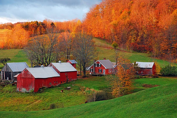 A small bucolic farm, with weathered red barns is settled in a rural valley on an autumn day in Vermont, New England