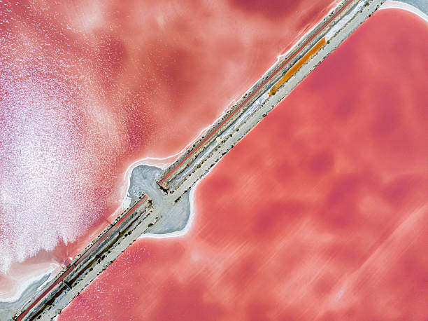 The pattern of salt field, France