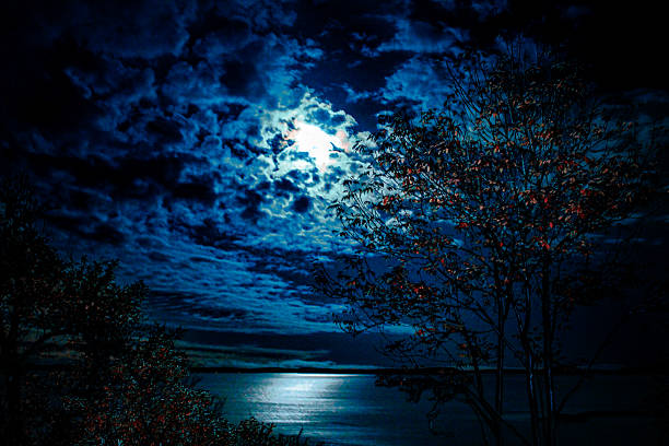 istock Shoreline in the Moon's Embrace 2222983676